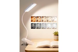 ReinHoo Rechargeable Clip-On Light — Clamp or clip-on desk lamp · exact listing linked